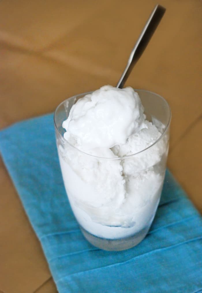 Low Carb Vanilla Coconut Ice Cream - Hard to believe this refreshing treat is actually pretty healthy. And it's vegan, dairy free and sugar free!