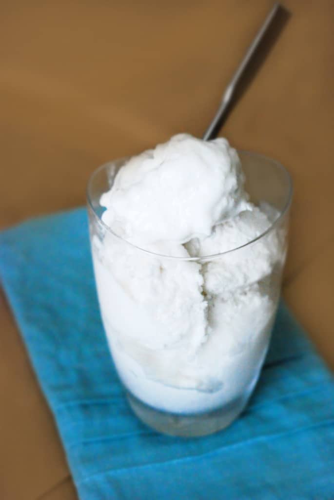 Low Carb Vanilla Coconut Ice Cream - This homemade sugar free ice cream is super simple and totally delicious! (vegan, dairy free)